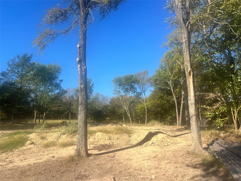 Tbd Ash Drive Denison, TX 75020 - Photo 5 of 5