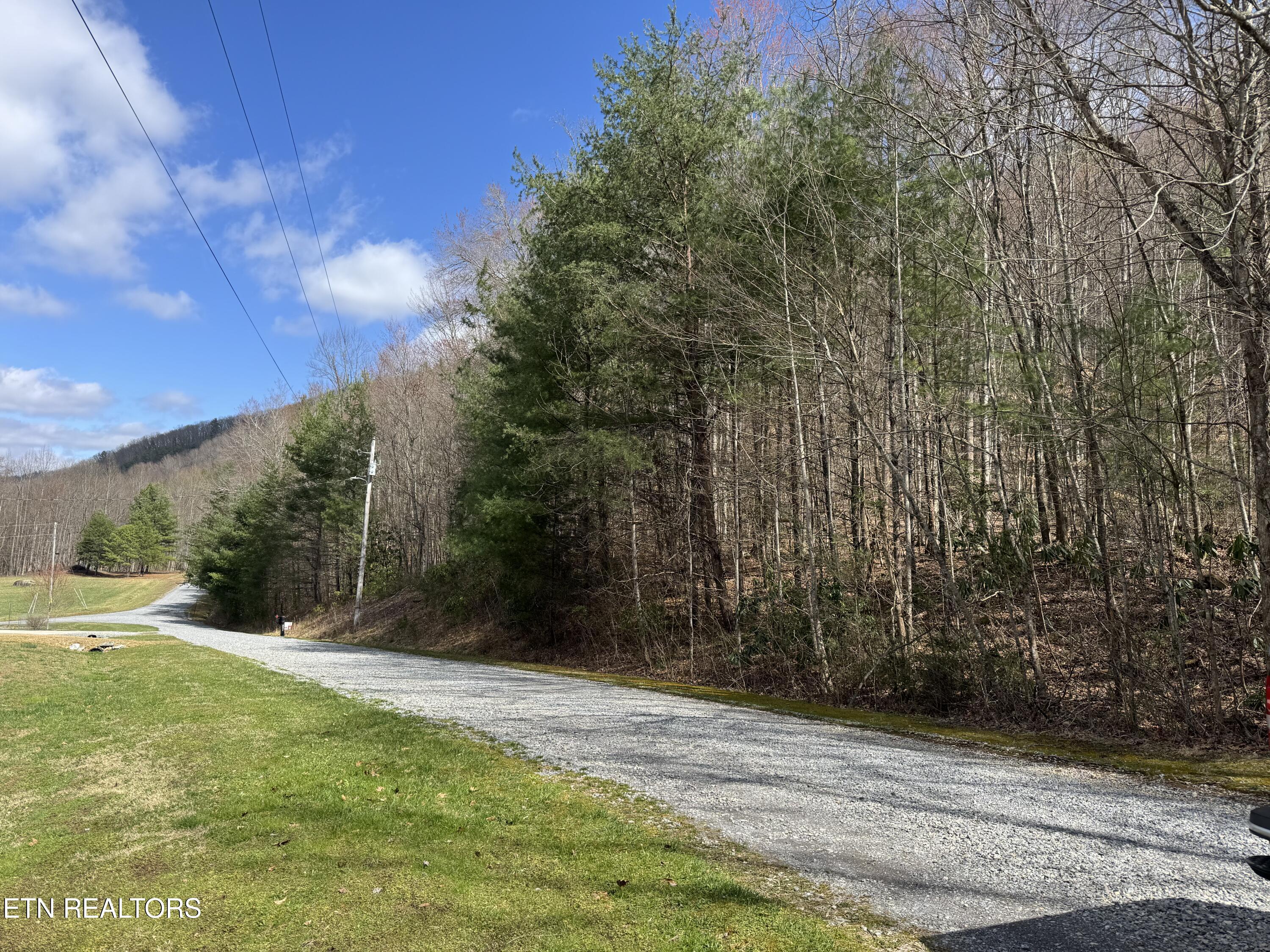 4.64 Cougar Trail Del Rio, TN 37727 - Photo 1 of 7 IMG_4259