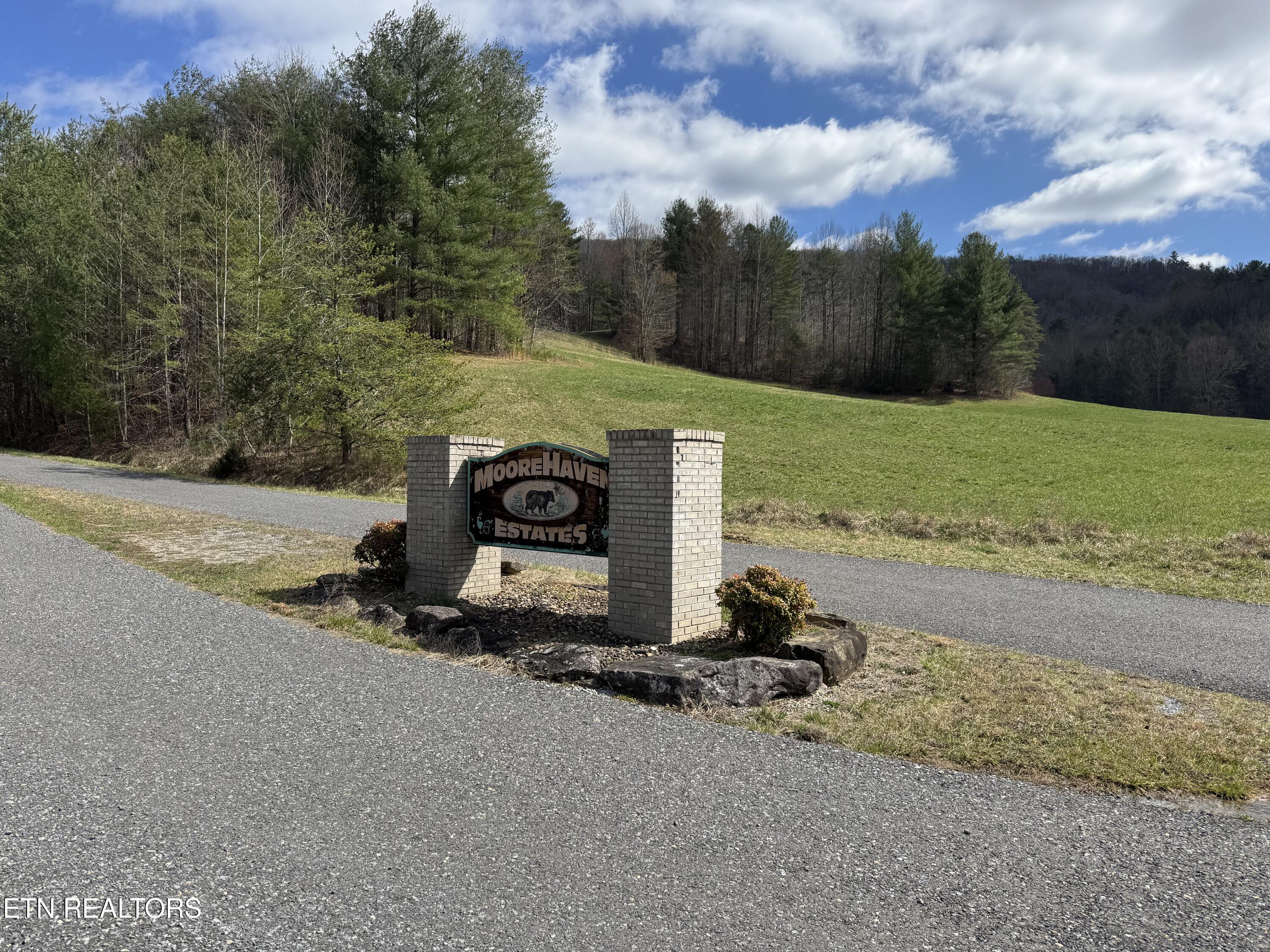 4.64 Cougar Trail Del Rio, TN 37727 - Photo 2 of 7 IMG_4252