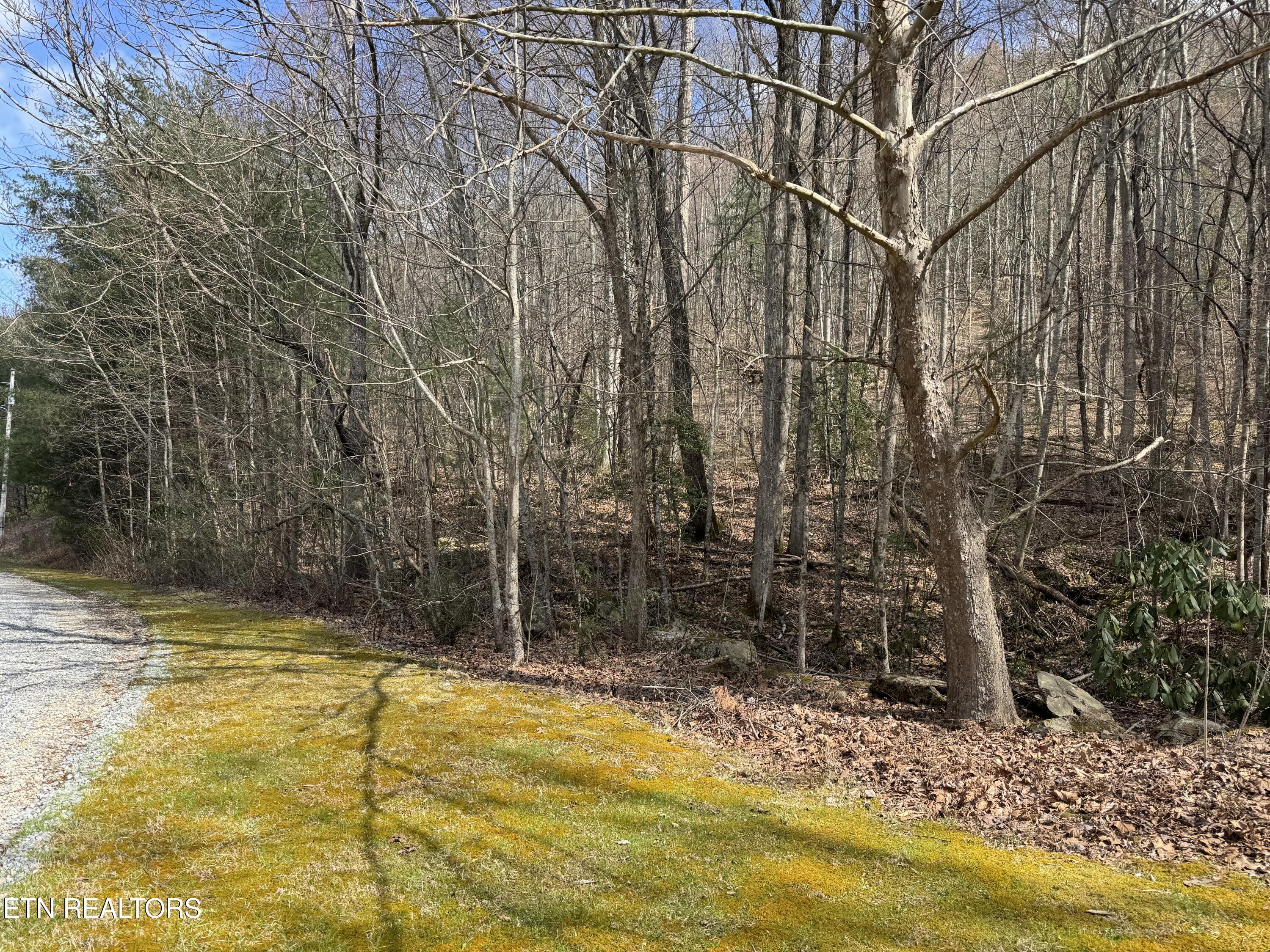 4.64 Cougar Trail Del Rio, TN 37727 - Photo 5 of 7 IMG_4262