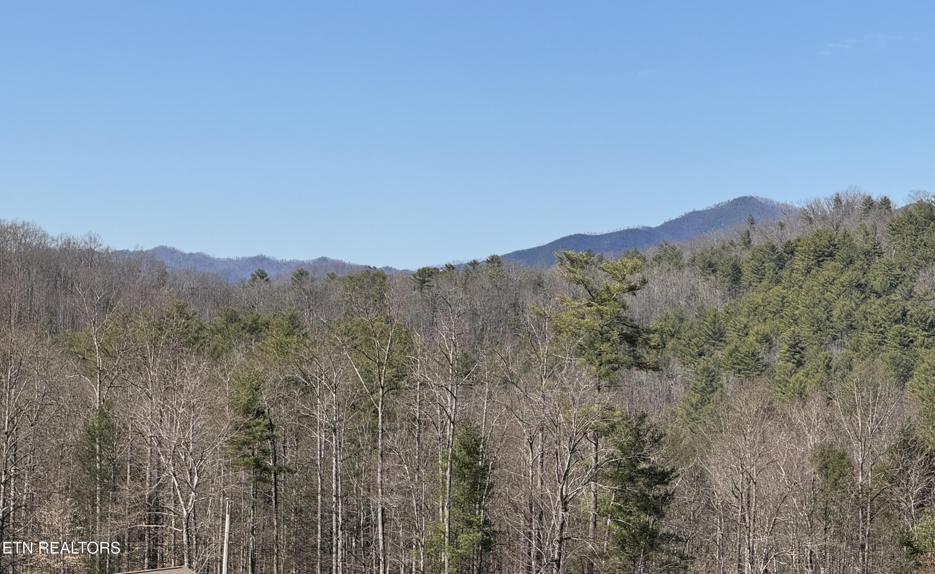 4.64 Cougar Trail Del Rio, TN 37727 - Photo 6 of 7 IMG_4072