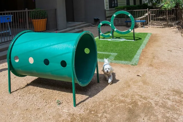 $1,558 | 3333 Weslayan Street, Unit 2410, Houston, TX 77027