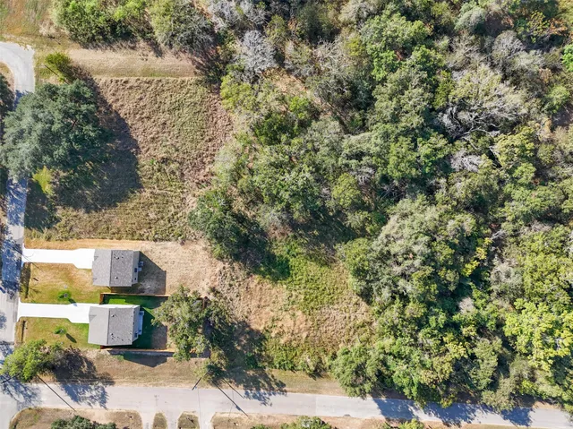 a view of a yard with plants