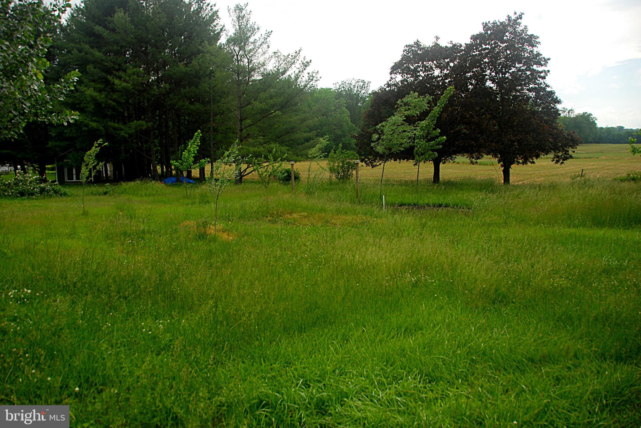 417 Appleton Road Elkton, MD 21921 - Photo 20 of 20 View from back porch