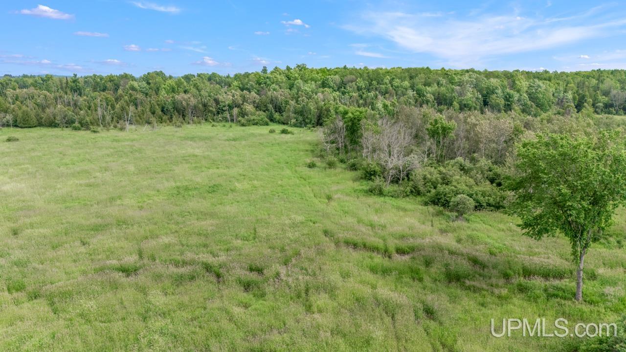 Tbd Tbd Delta Menominee C Road Bark River, MI 49807 - Photo 8 of 13