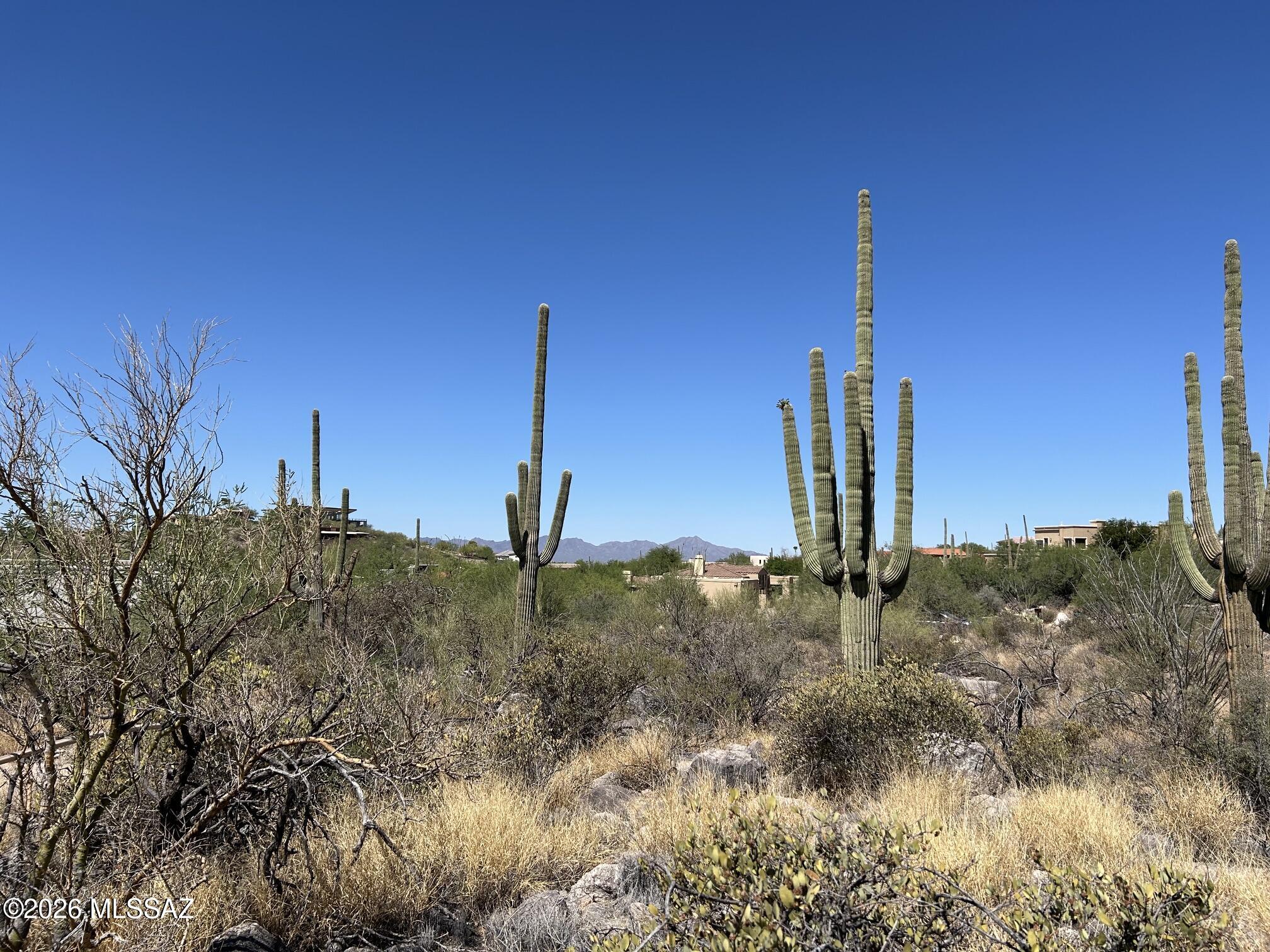 7128 North Mercer Spring Place, Unit 151 Tucson, AZ 85718 - Photo 5 of 13 IMG_7590