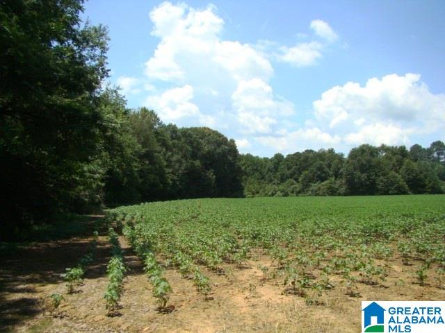 0 Duggar Mountain Road, Unit 27 Piedmont, AL 36272 - Photo 3 of 3