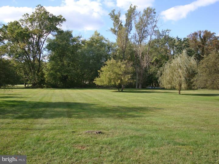206 Fairway Road Ambler, PA 19002 - Photo 3 of 15 Back Yard