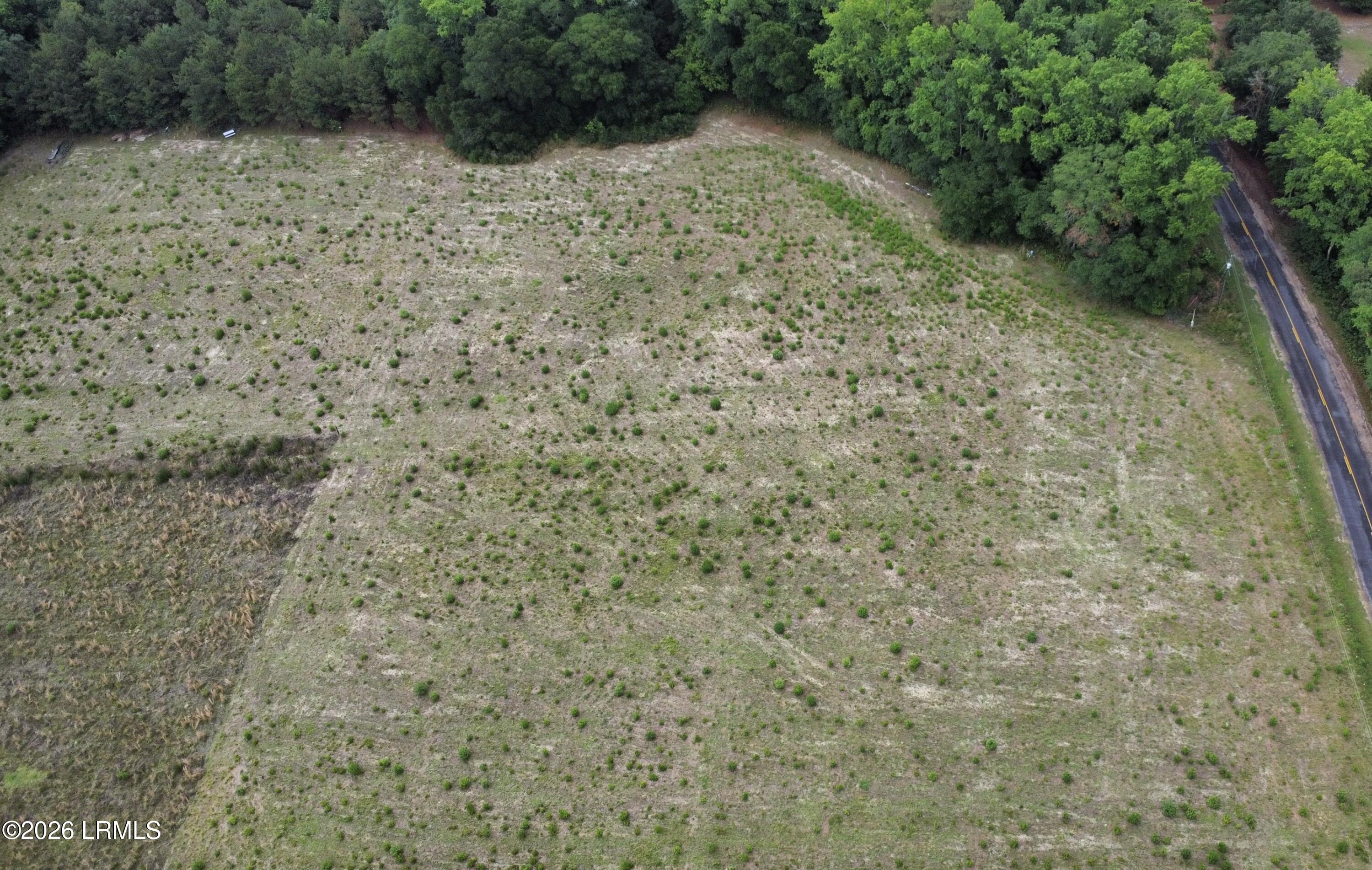 Tbd Tbd Mullings Ford Road Brunson, SC 29911 - Photo 2 of 2 dji_fly_20260525_171952_263_177974420342