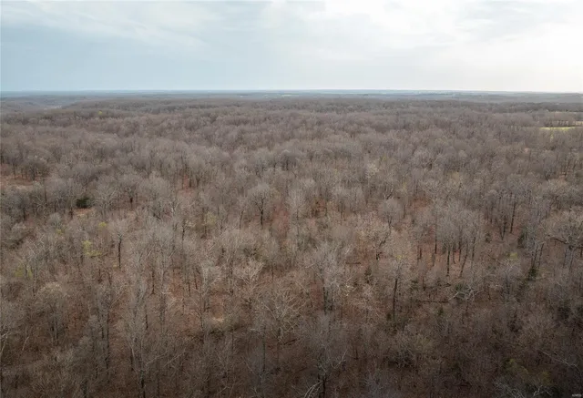 $525,000 | 1610 Highway 64, Tunas, MO 65764