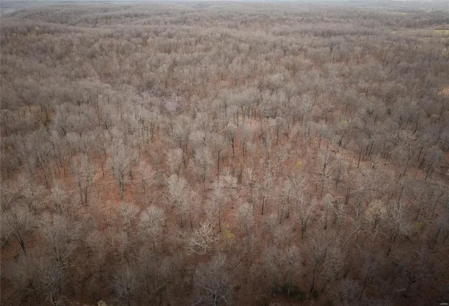 $525,000 | 1610 Highway 64, Tunas, MO 65764