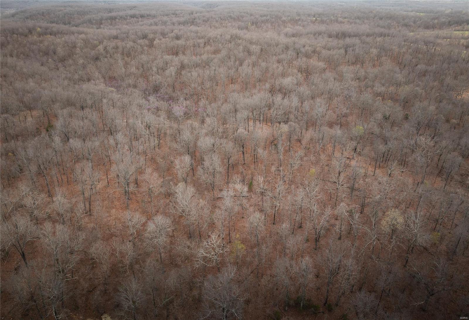 1610 Highway 64 Tunas, MO 65764 - Photo 58 of 61