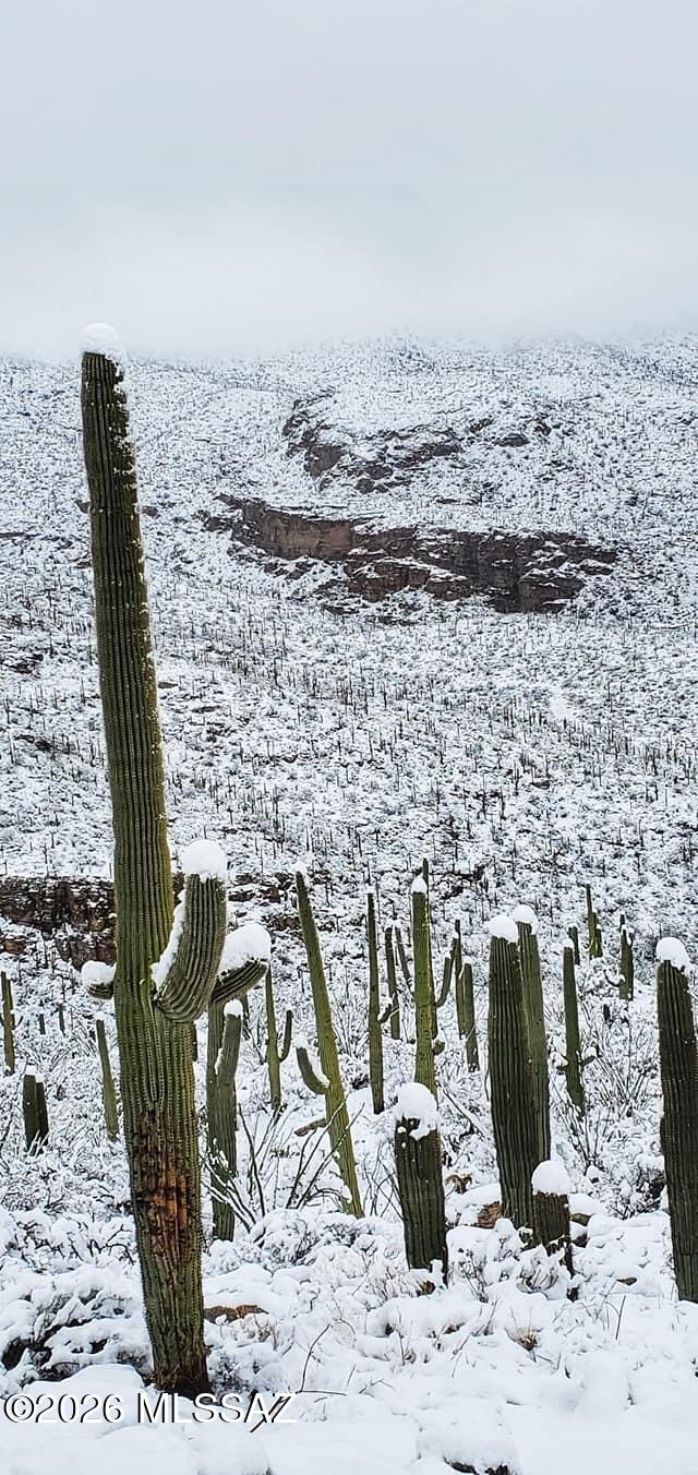 5499 North Wentworth Road Tucson, AZ 85749 - Photo 3 of 8 Snow in the mountains