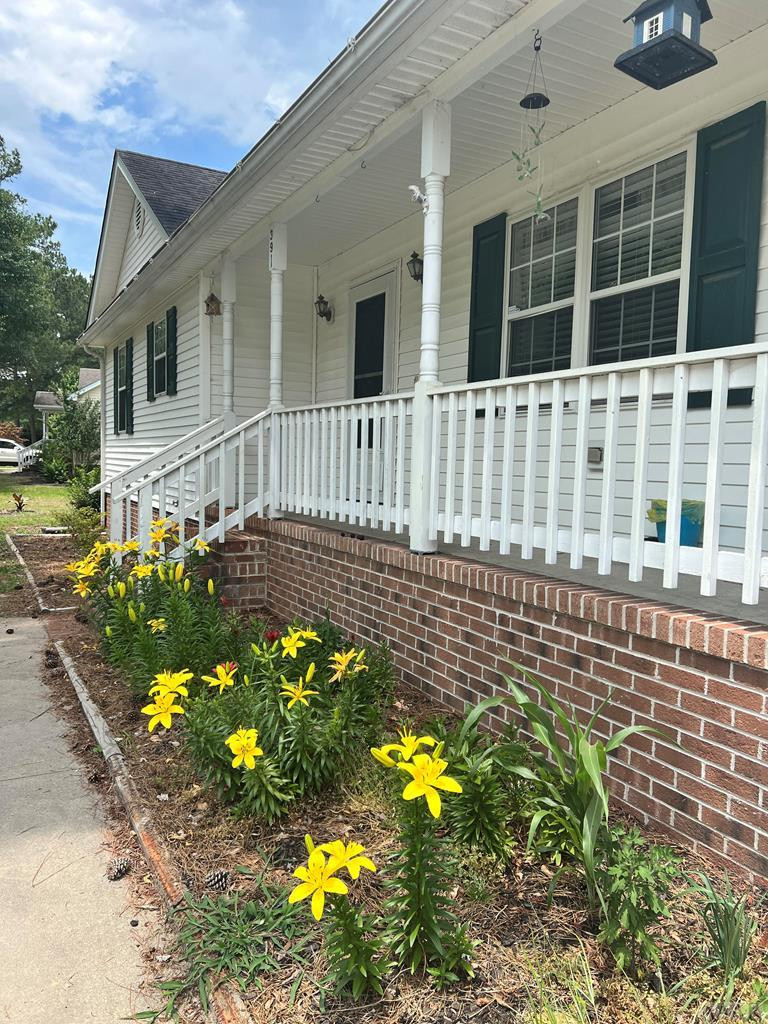391 Country Club Road Camden, NC 27921 - Photo 23 of 42 established landscaping