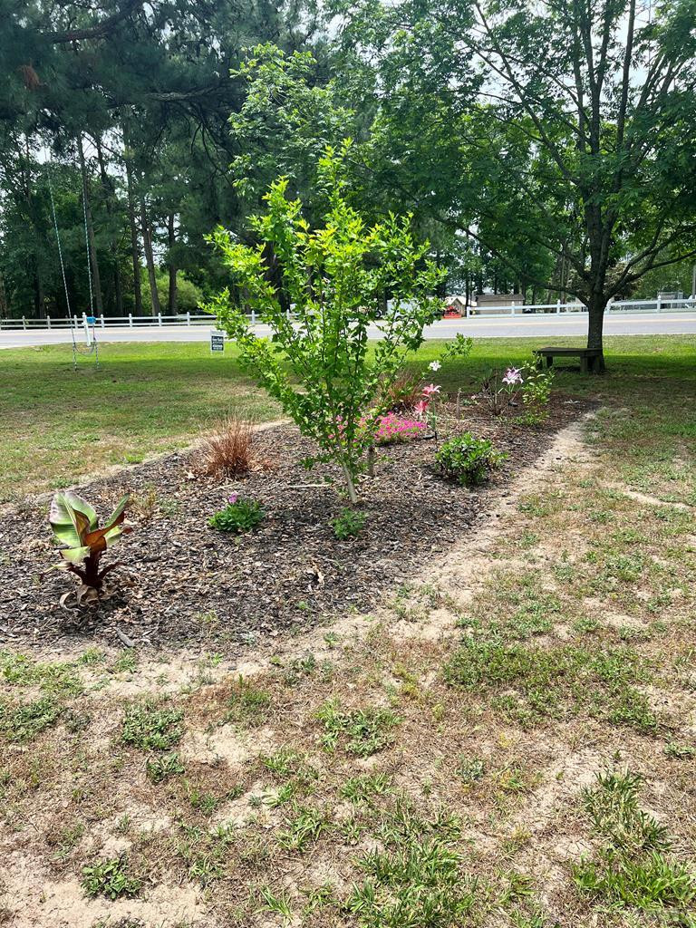 391 Country Club Road Camden, NC 27921 - Photo 24 of 42