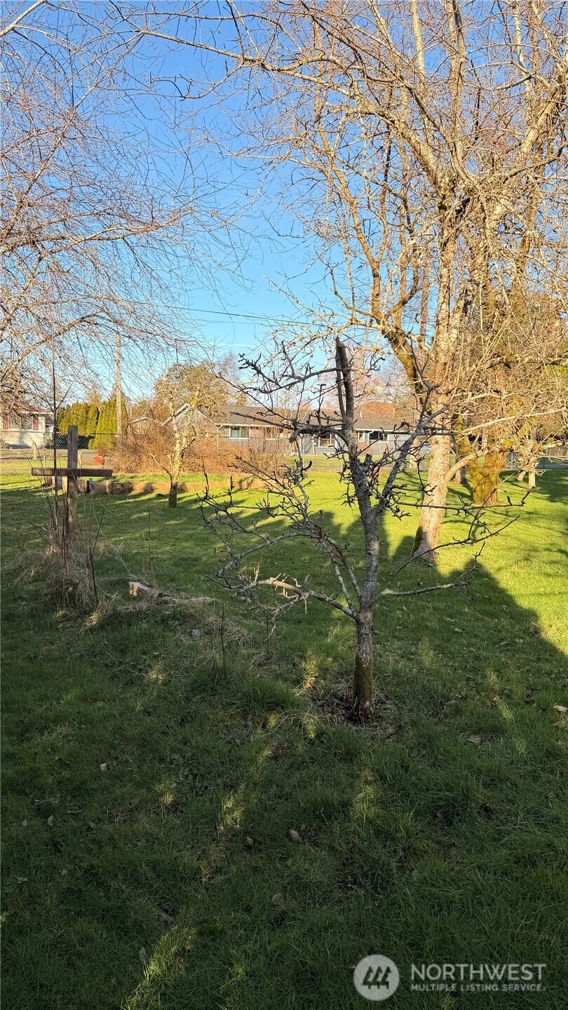 630 7th Avenue Forks, WA 98331 - Photo 29 of 34