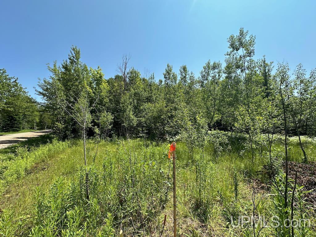 Parcel A Webb Road Grand Marais, MI 49839 - Photo 19 of 29