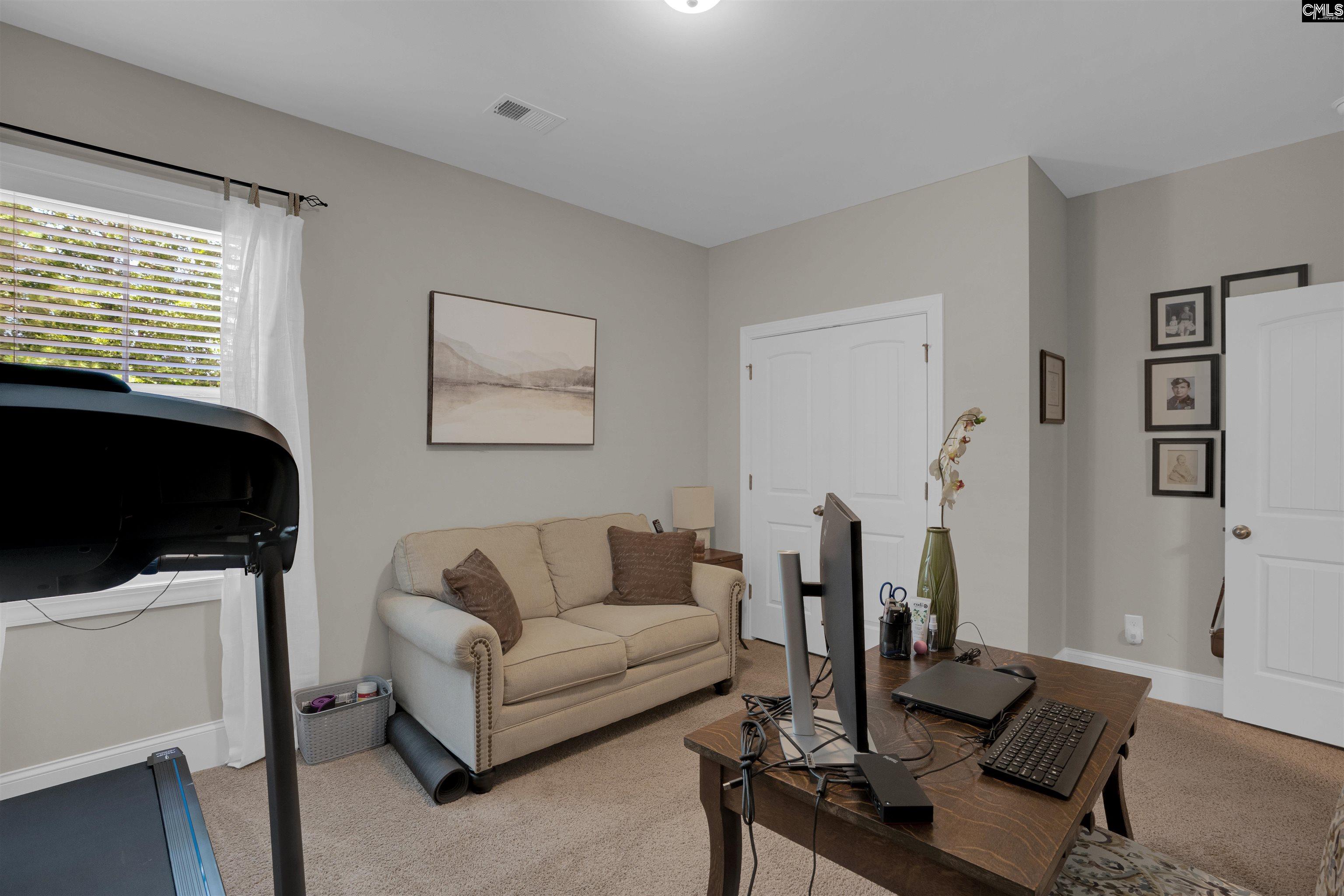238 Hilton View Court Chapin, SC 29036 - Photo 28 of 63