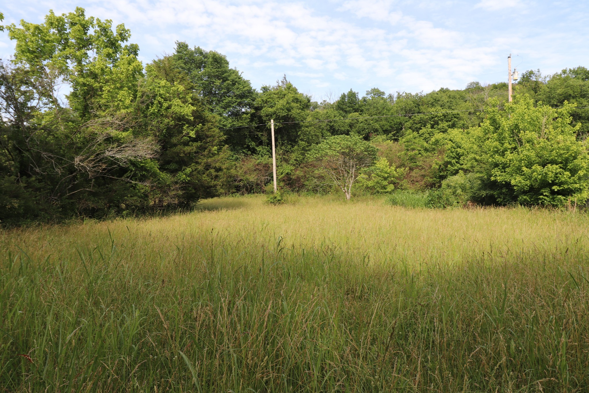 2 Carter Branch Road Hartsville, TN 37074 - Photo 12 of 13 Gallery Image 12