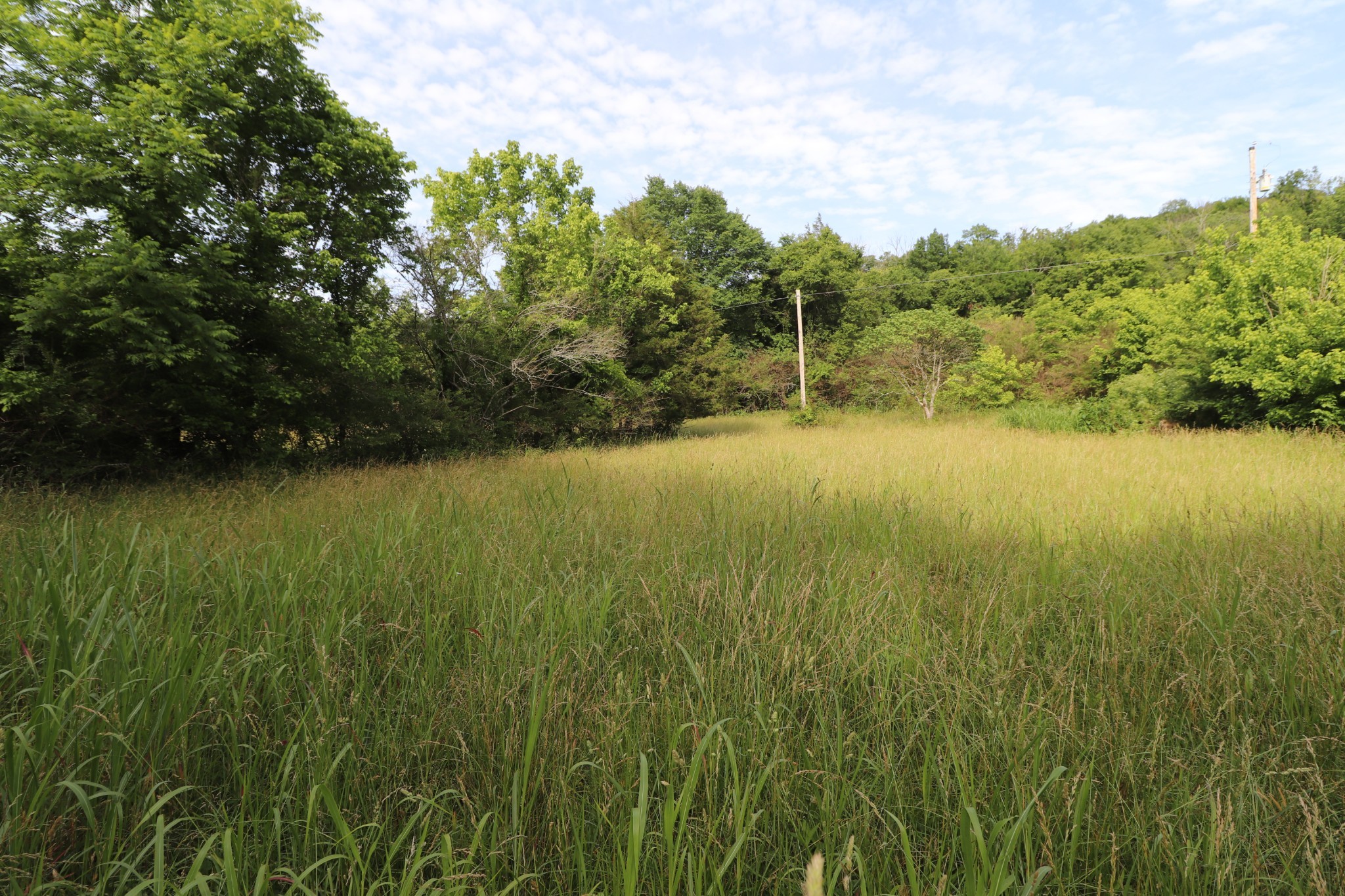 2 Carter Branch Road Hartsville, TN 37074 - Photo 13 of 13 Gallery Image 13