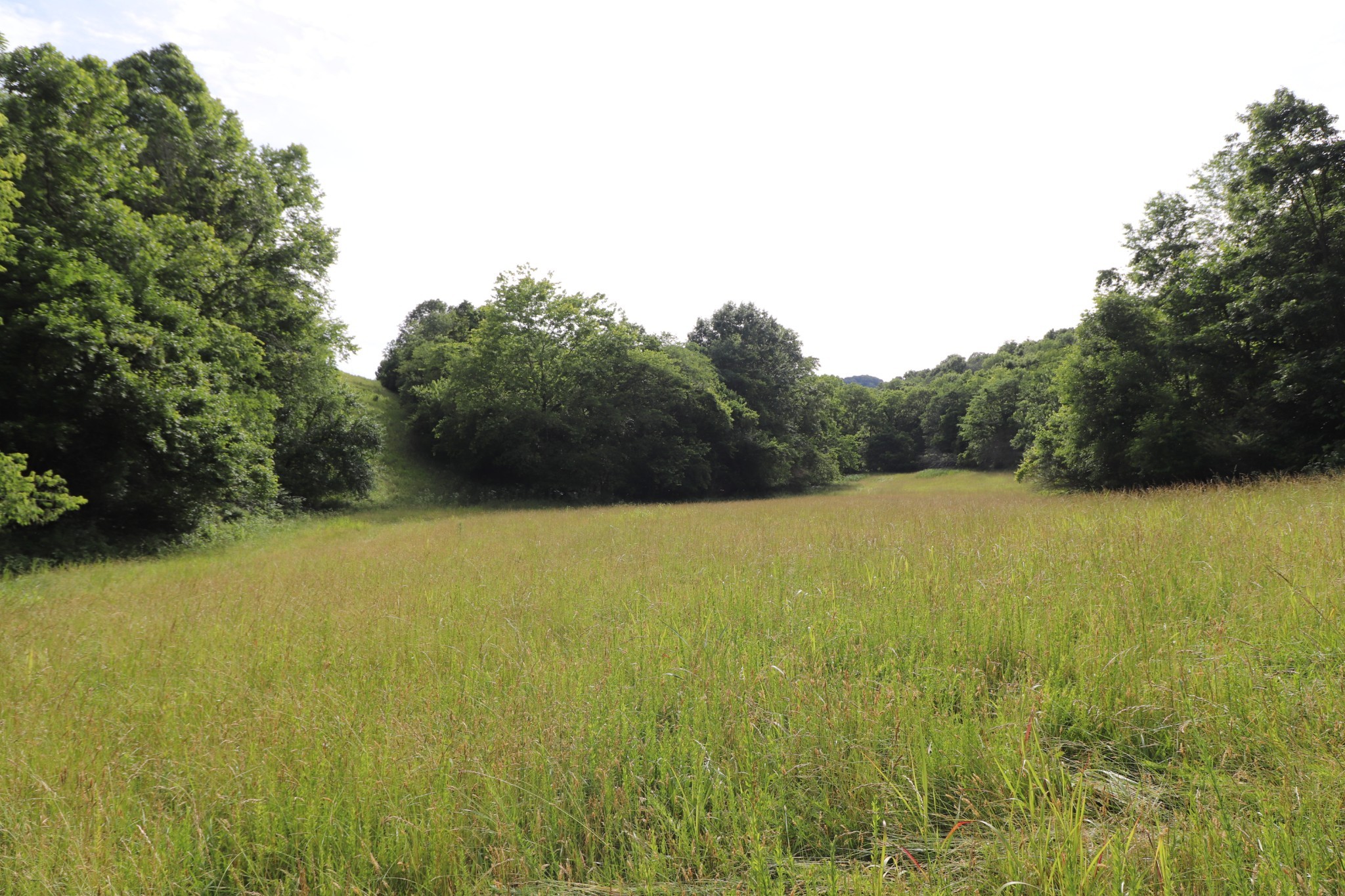 2 Carter Branch Road Hartsville, TN 37074 - Photo 10 of 13 Gallery Image 10