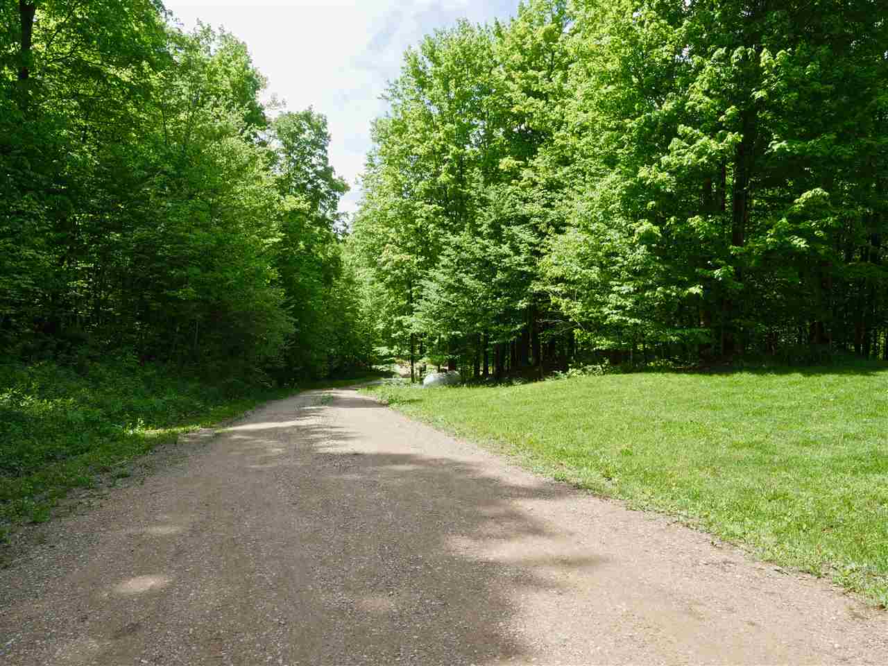 5416 Ingersoll Road Southwest Fife Lake, MI 49633 - Photo 3 of 39 1874937-2.JPG