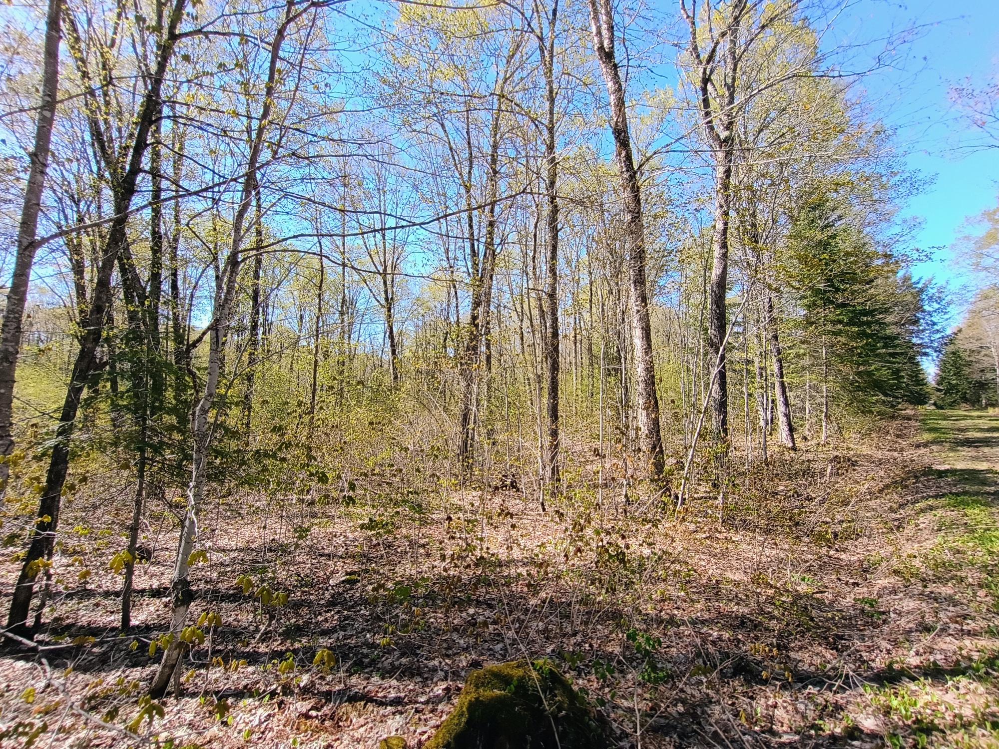 40-ac On Nig Rein Road, Unit 40 AC Glidden, WI 54527 - Photo 10 of 26 Gallery Image 10