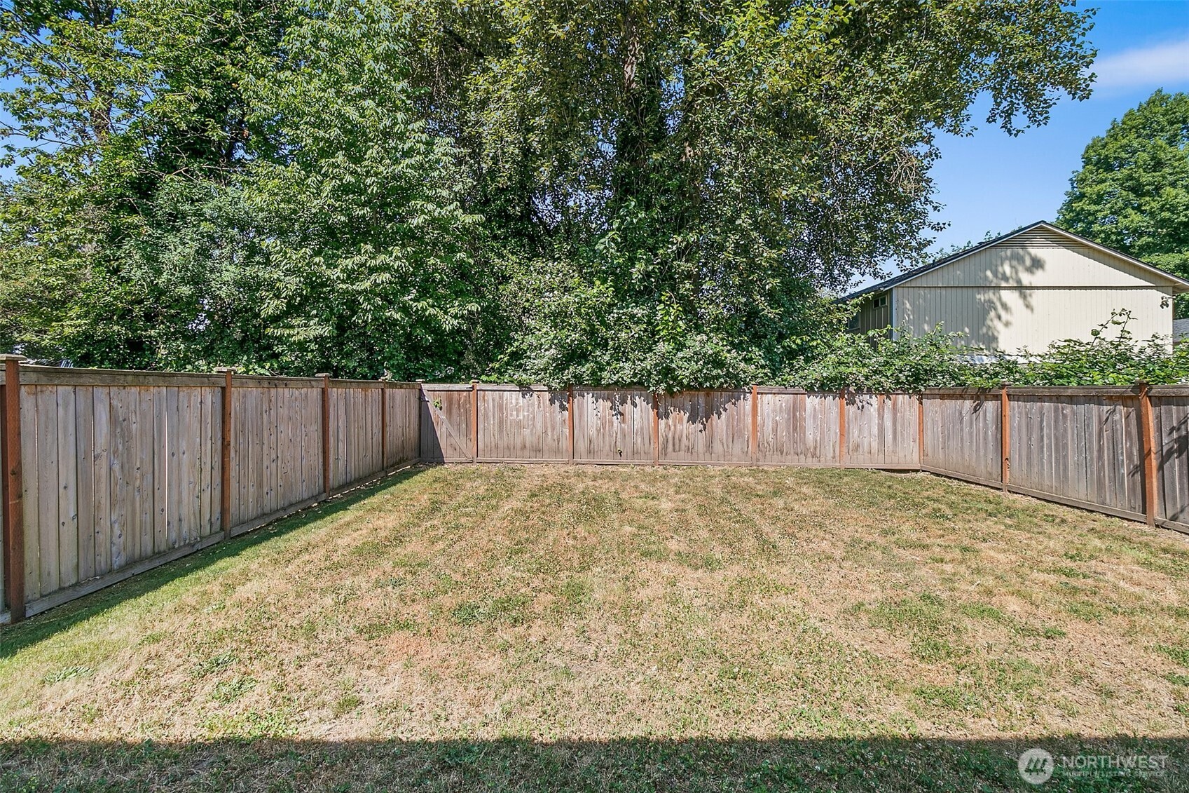709 3rd Avenue South Kent, WA 98032 - Photo 22 of 26 a view of backyard with small garden
