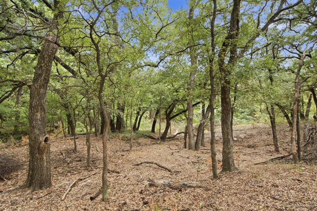 Tbd Tbd Fm-1476 Dublin, TX 76446 - Photo 27 of 36 Gallery Image 27