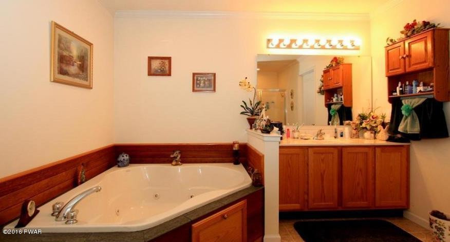 176 Highland Road Pleasant Mount, PA 18453 - Photo 22 of 52 a bathroom with a bathtub and a sink