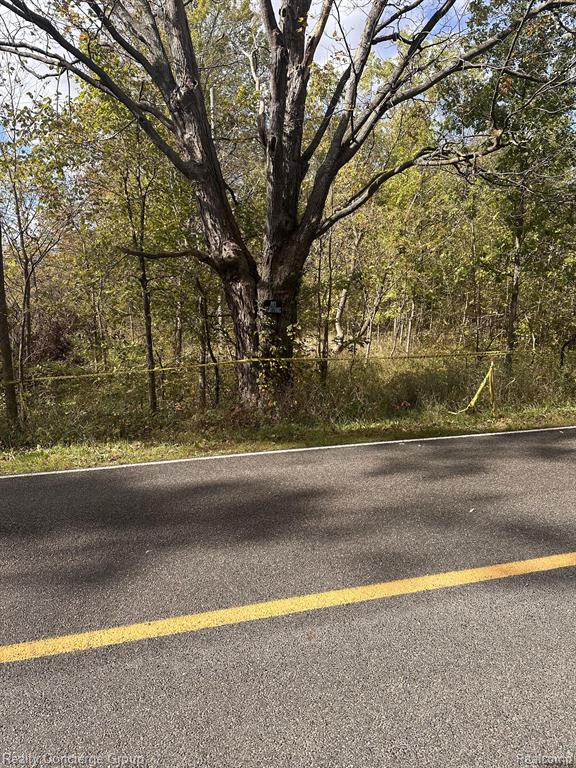 0 South Bull Run Road Fowlerville, MI 48836 - Photo 7 of 18 Gallery Image 7