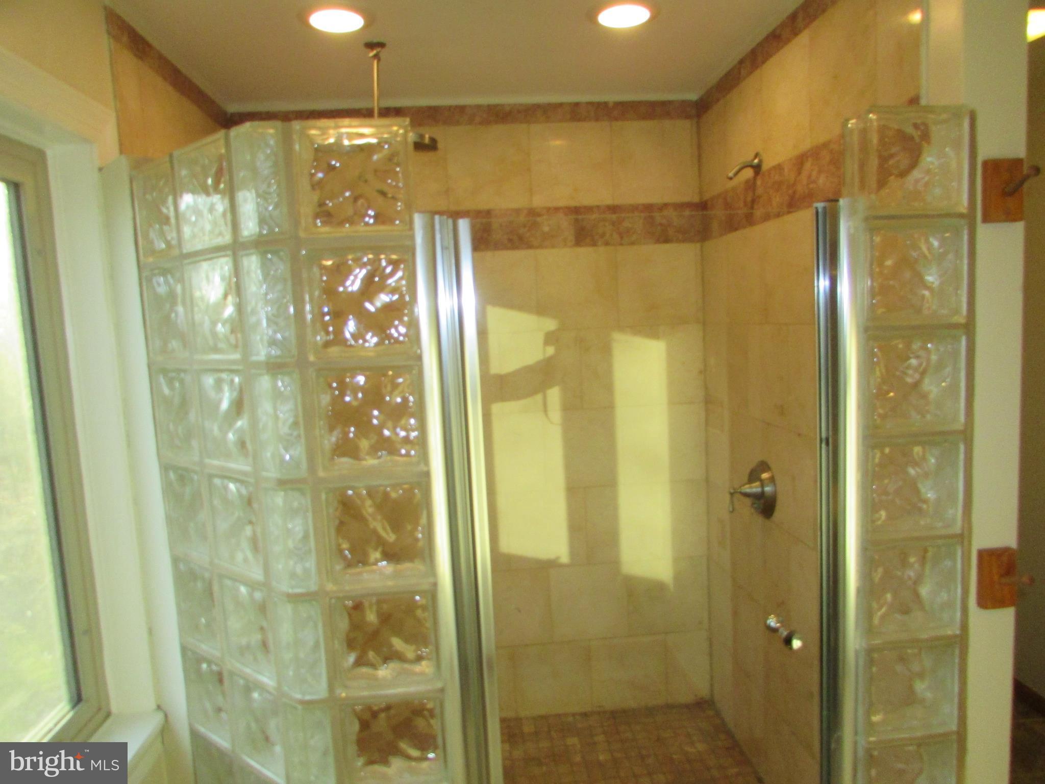 393 Silver Run Valley Road Westminster, MD 21158 - Photo 18 of 30 Bath (Master) shower