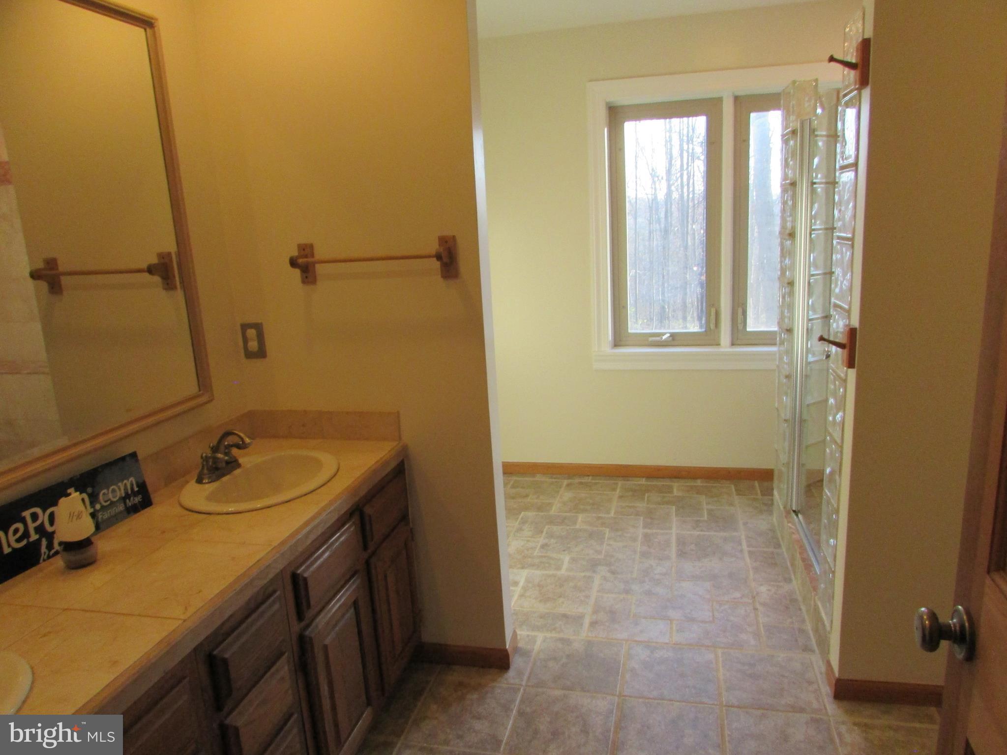 393 Silver Run Valley Road Westminster, MD 21158 - Photo 19 of 30 Bath (Master)