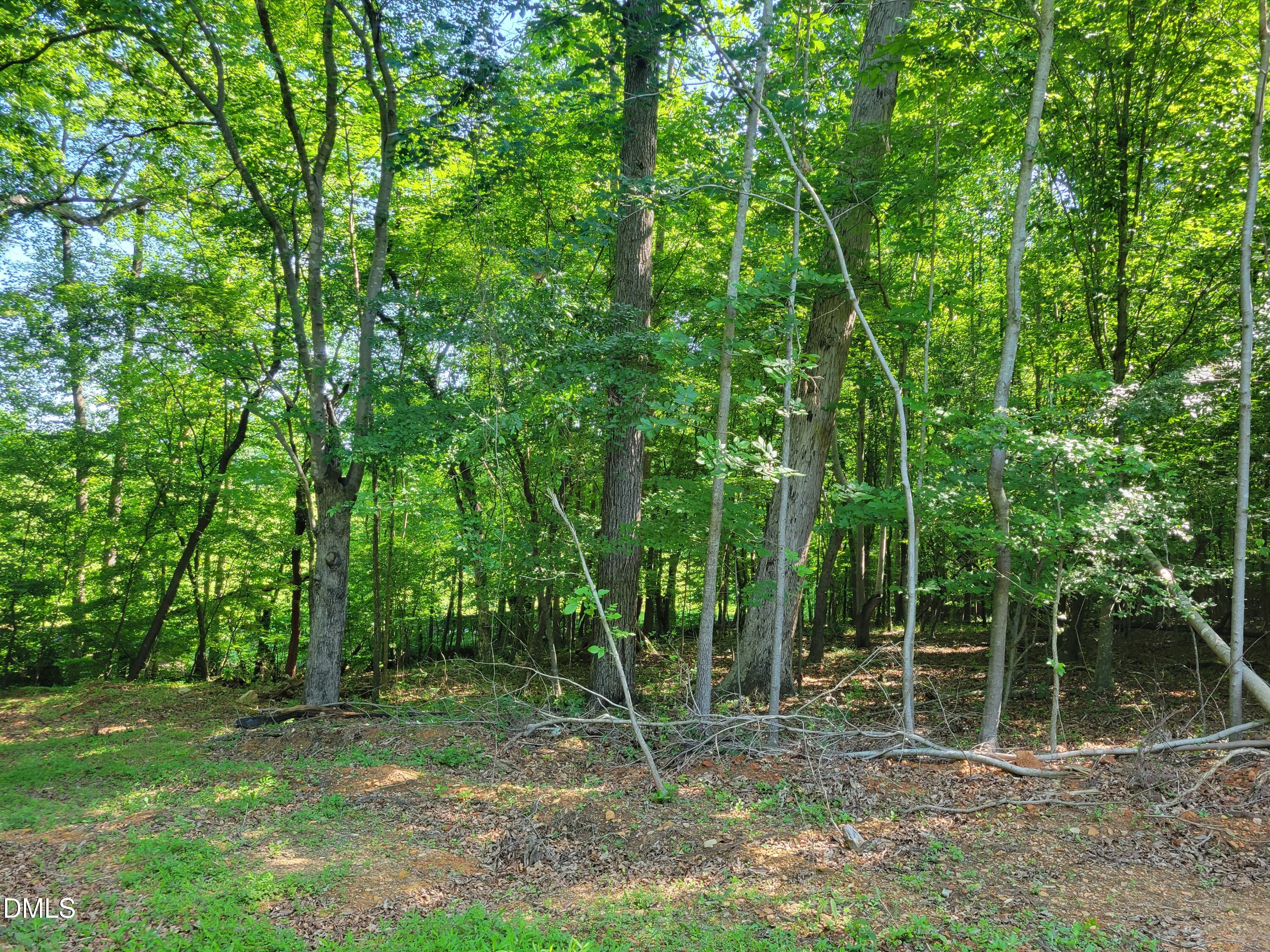 0 Hicks Farm Road Staley, NC 27355 - Photo 9 of 30 20260529_103656