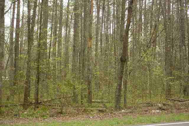 25 Goodwin Bridge Road, Unit HIGHWAY 414 Travelers Rest, SC 29690 - Photo 1 of 1
