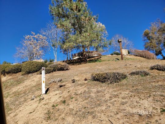 8926 Caliente Bodfish Road Caliente, CA 93518 - Photo 30 of 43 a view of a backyard of a house