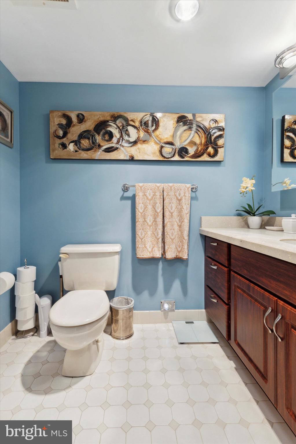 800 Avondale Road, Unit 5L Wallingford, PA 19086 - Photo 14 of 25 a bathroom with a sink a toilet and a mirror