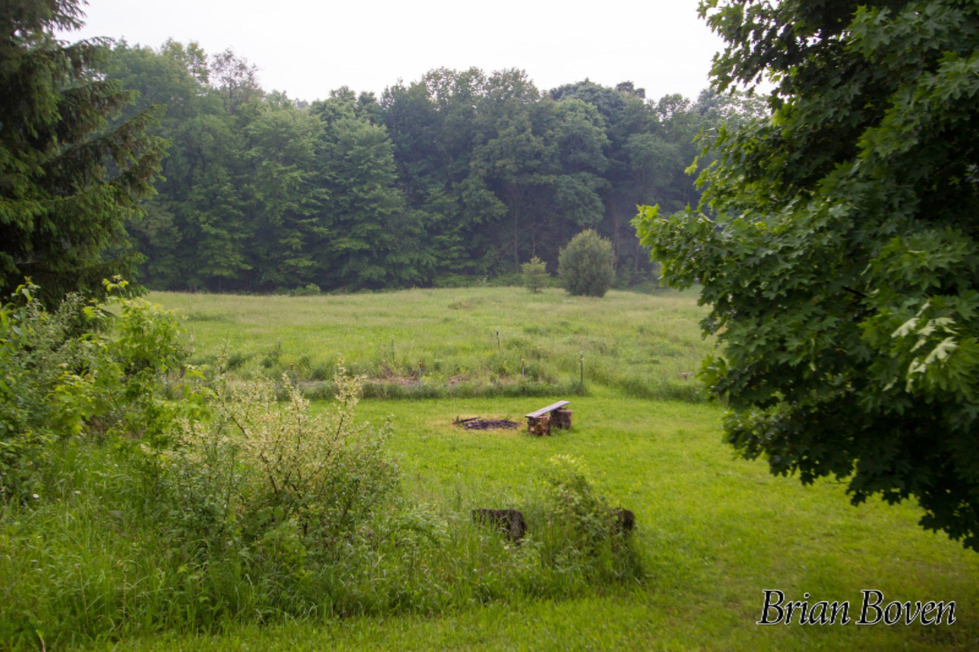 6040 10 Mile Road Northeast Rockford, MI 49341 - Photo 32 of 36 _MG_3880