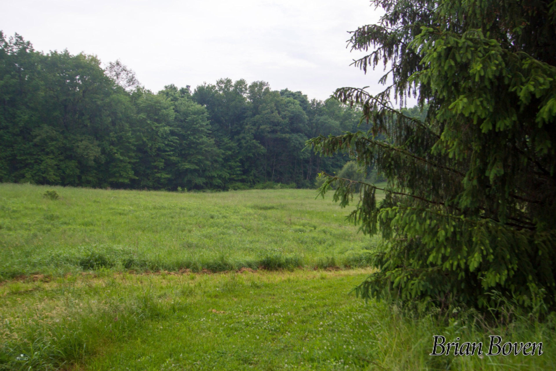 6040 10 Mile Road Northeast Rockford, MI 49341 - Photo 35 of 36 _MG_3884