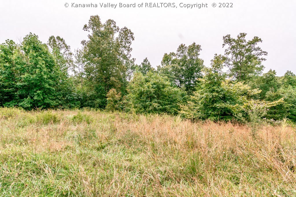 0 Jim Ridge Road Pleasureville, KY 40057 - Photo 8 of 18 Gallery Image 8
