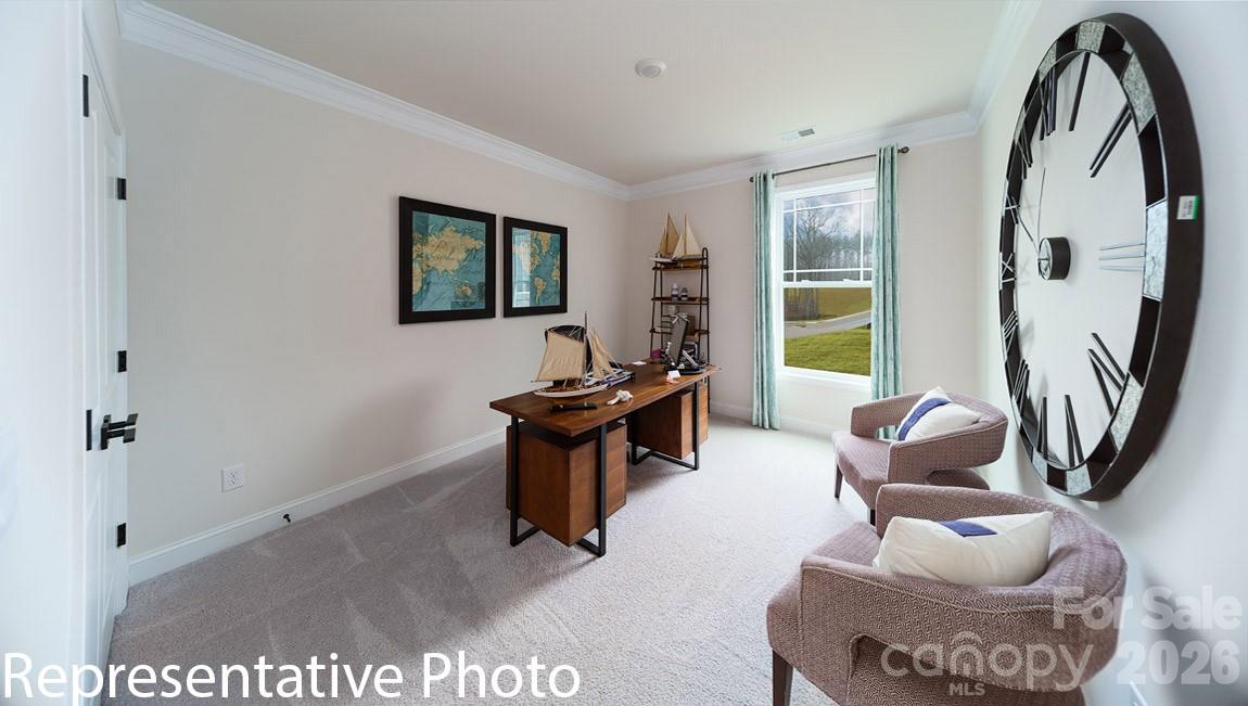 108 Rhuidean Court Troutman, NC 28166 - Photo 17 of 35