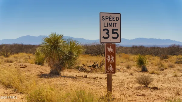 a view of a row of palm trees