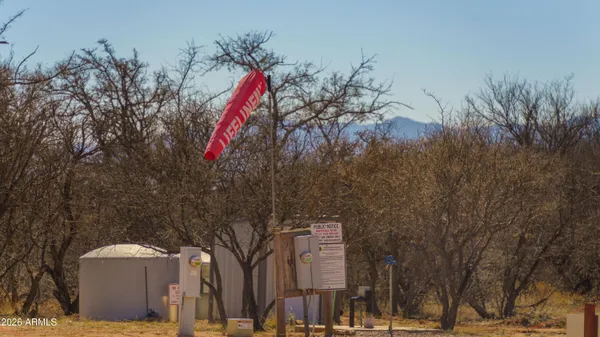 a view of a park with large trees
