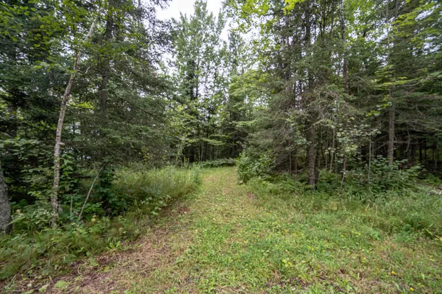 $209,000 | 4-xxx Toivonen Road, Makinen, MN 55763