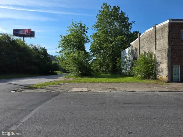 a view of a yard