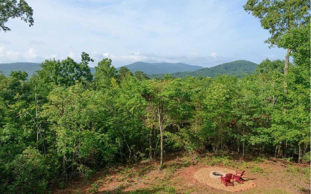 93 Deer Hunter Trail Blue Ridge, GA 30513 - Photo 3 of 4 Additional View