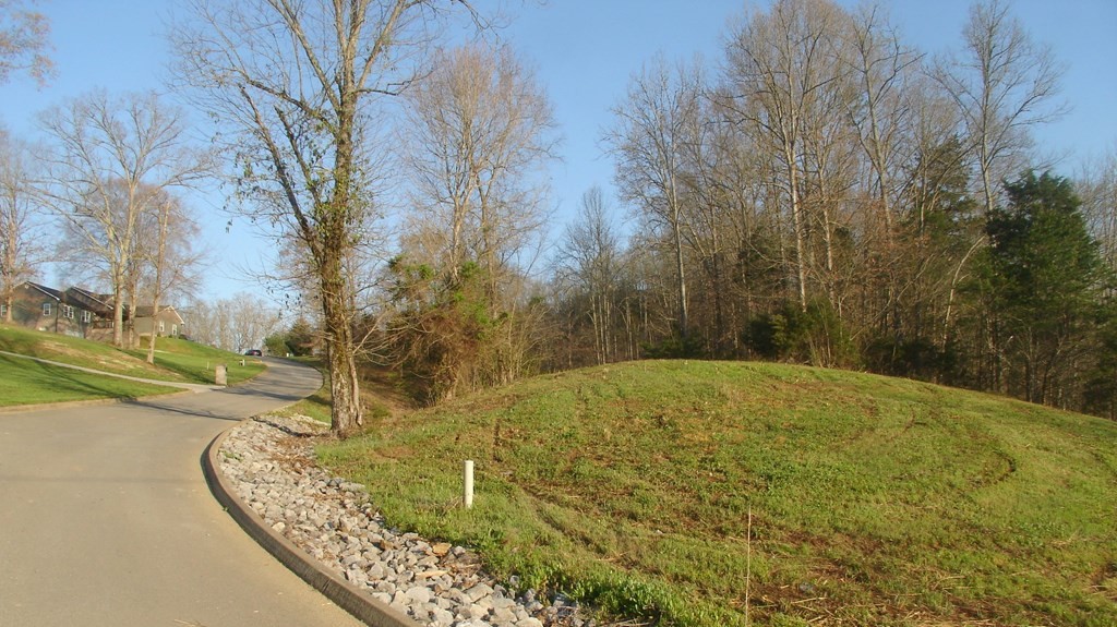 11 Pleasant Oaks Road Sevierville, TN 37876 - Photo 5 of 6