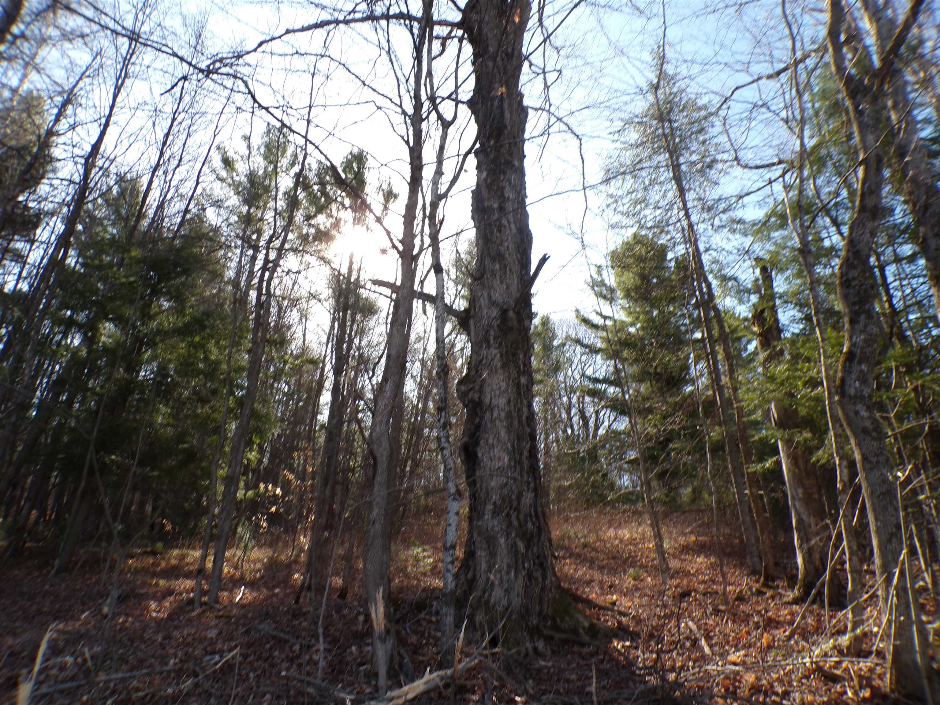440 Baird Road Barton, VT 05822 - Photo 4 of 11