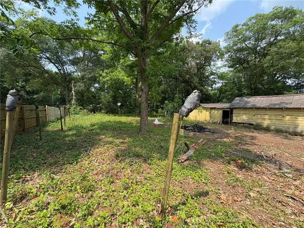 a view of a yard