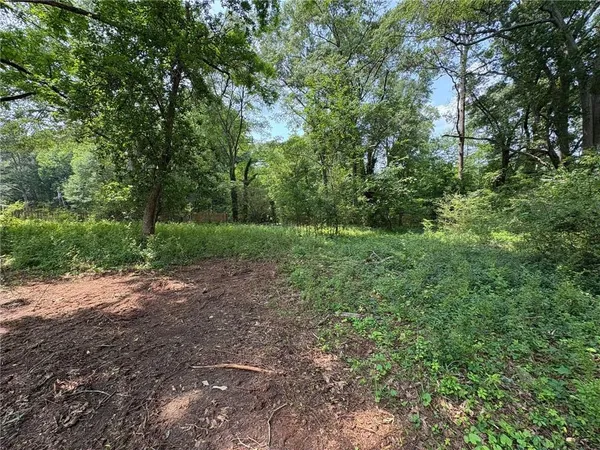 a view of a yard with a trees